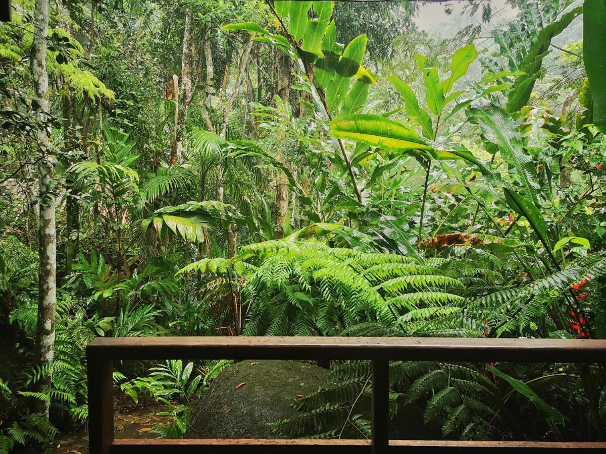 Trindade Sea And Forest Yoga Hostel Extérieur photo