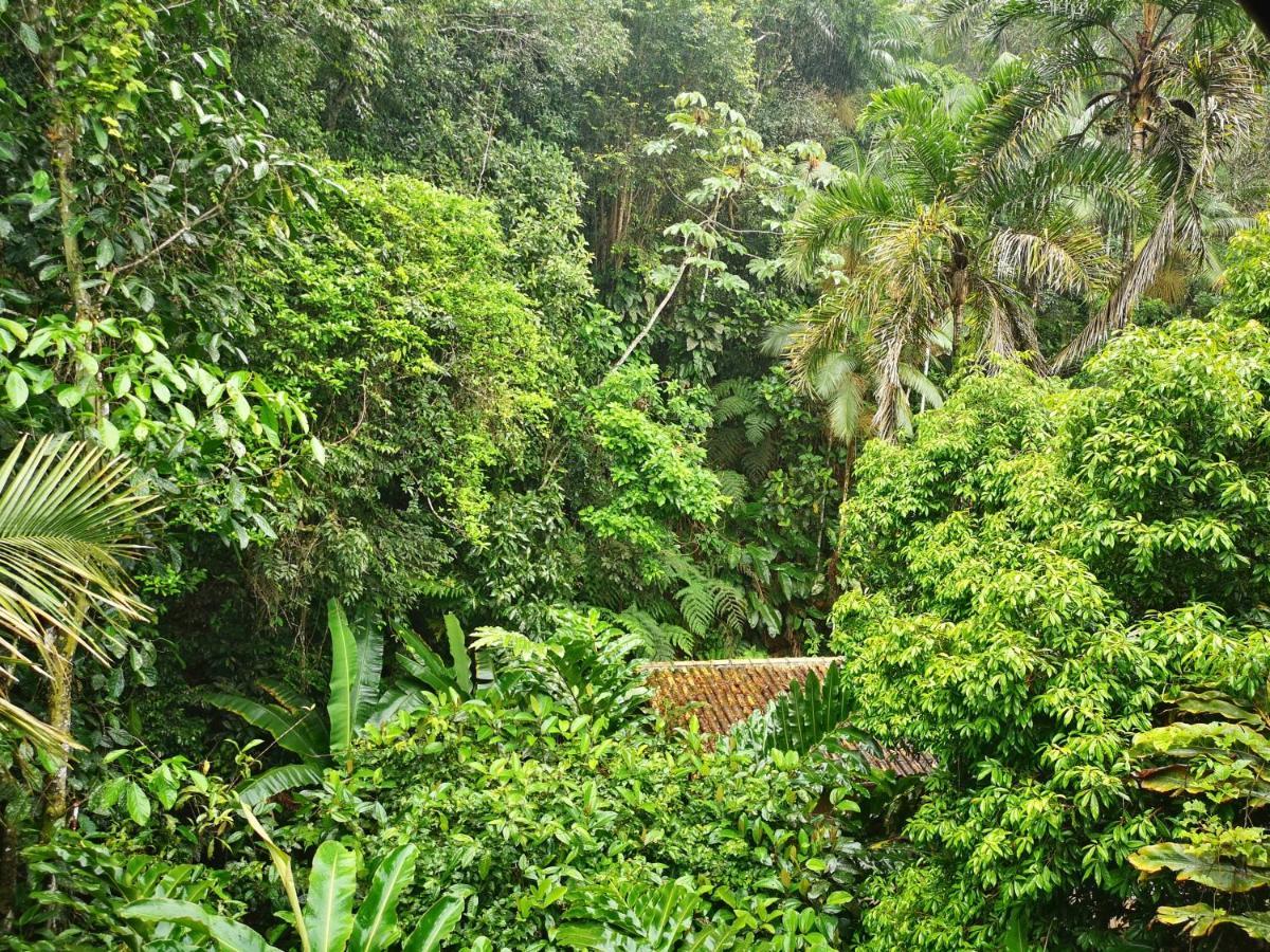 Trindade Sea And Forest Yoga Hostel Extérieur photo